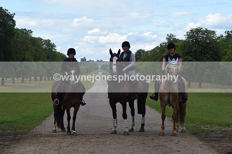 TT3_0542 - Time at Crossing 14:53 to 1526