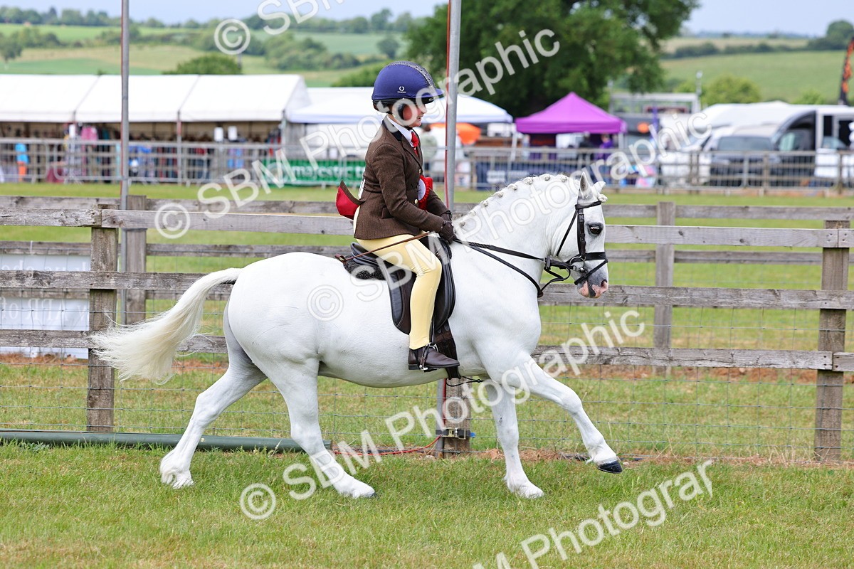 SBM_09684 - Class 44-45 - LIHS BSPS Open Nursery and Cradle Stakes