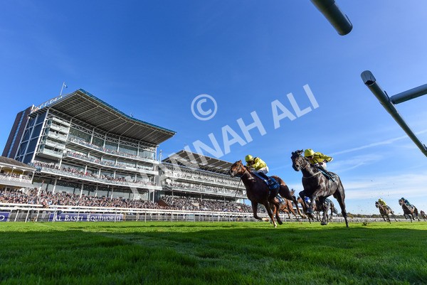 111025-Race 5-Morshdi-2086 - Race 5 Coral 'We're Here For It' EBF Maiden Stakes at York