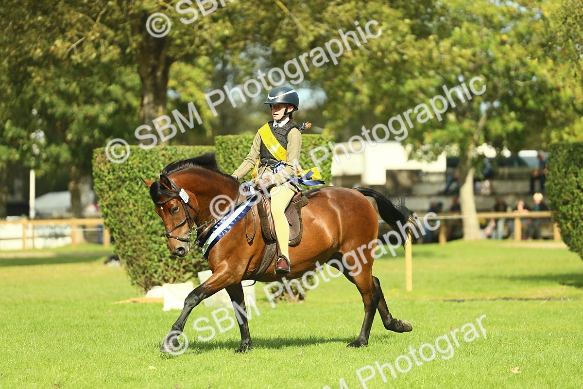 SBM_45033 - Working Hunter Pony Supreme Championship