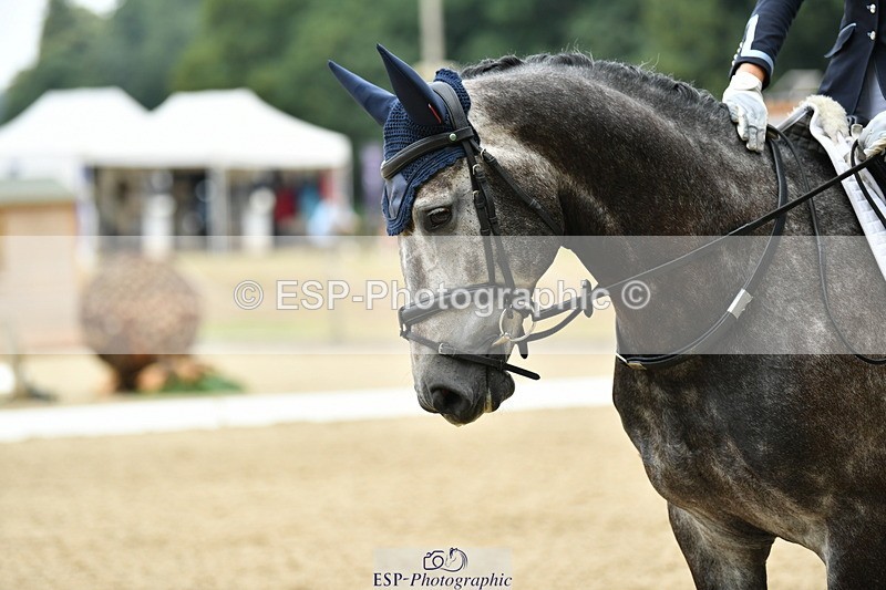 250718A-114030-01200 - 108-Esme.Freeman-Pulsar