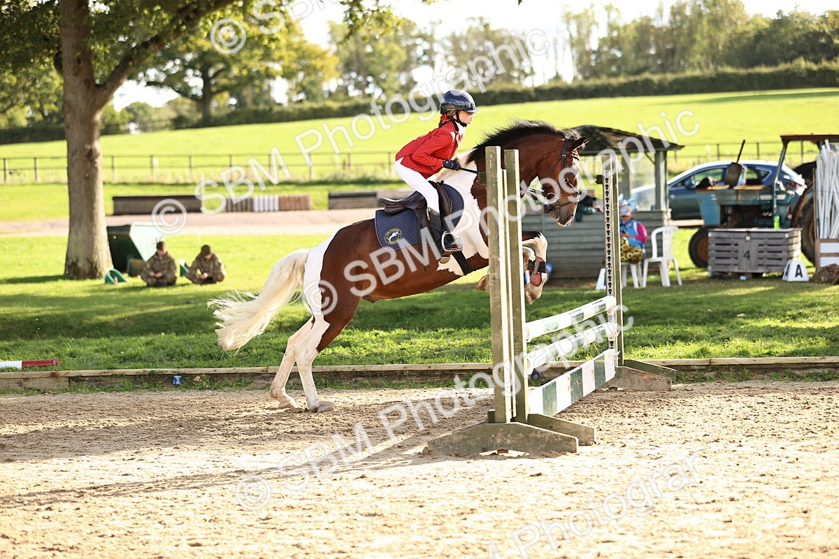 SBM_51532 - J10 - Junior Pony 75cm Championship