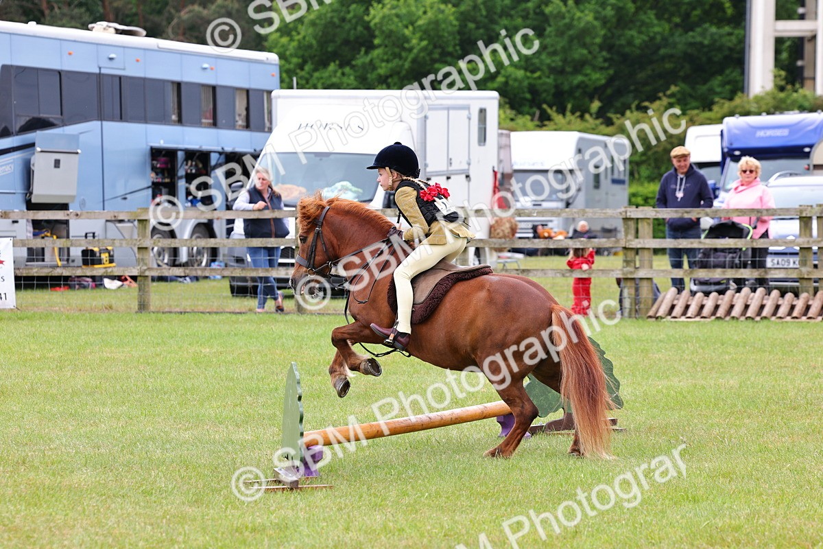 SBM_08640 - Class 42-43 - LIHS BSPS Heritage Working Sports Pony