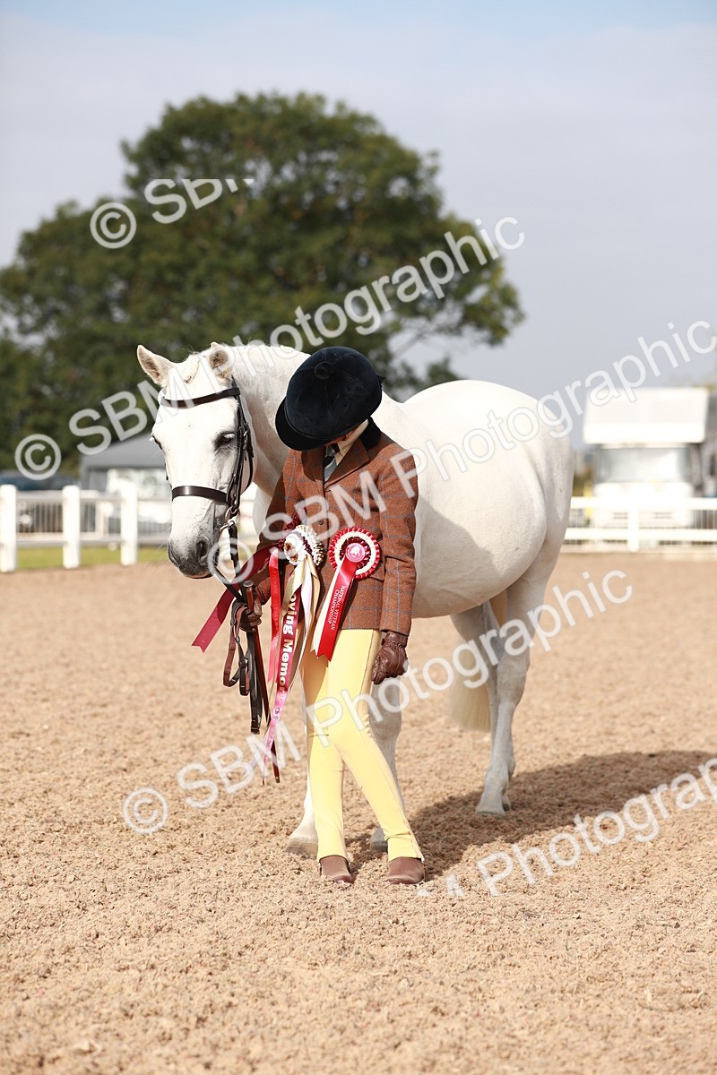 SBM_09935 - Class 203 Young Handler, 10 years and under