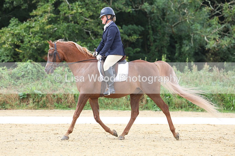 3E7A1921 - Class 1: Intro 4 2024 section A