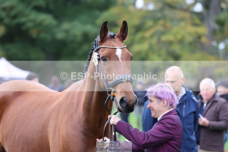 251026A-104902-23294 - F-423-Jen.Le.Miere