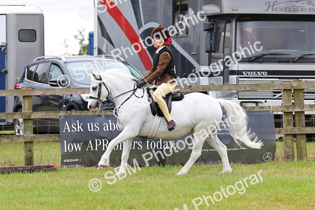 SBM_08727 - Class 42-43 - LIHS BSPS Heritage Working Sports Pony