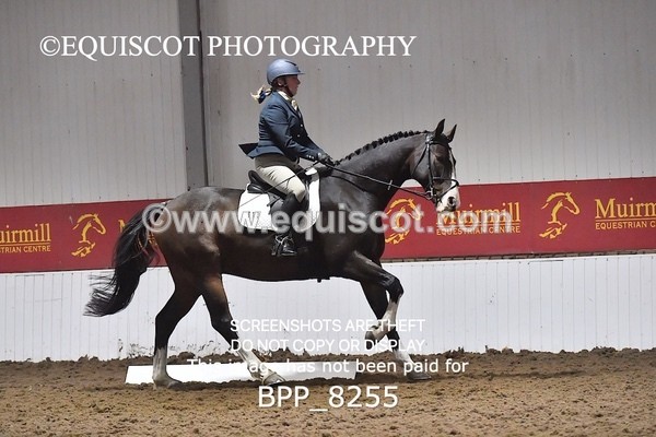 BPP_8255 - NOVICE 4 UNAFF