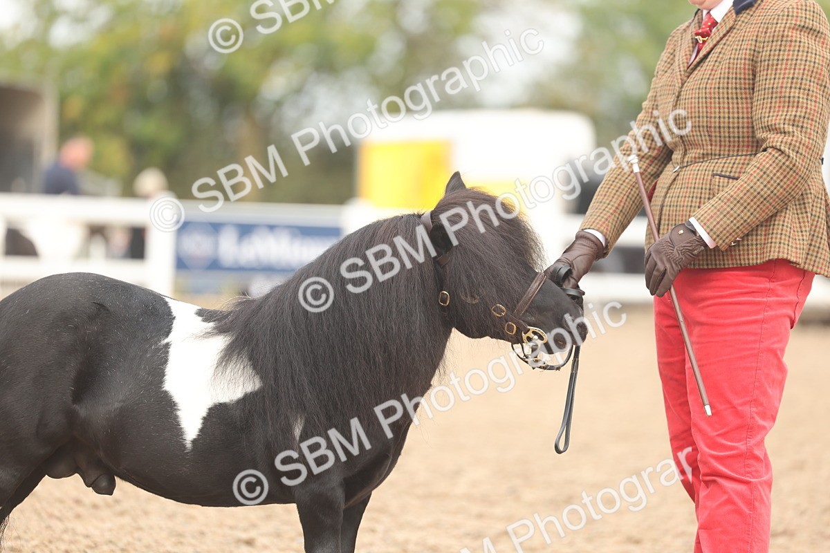 SBM_02128 - Class 15 - IH Coloured