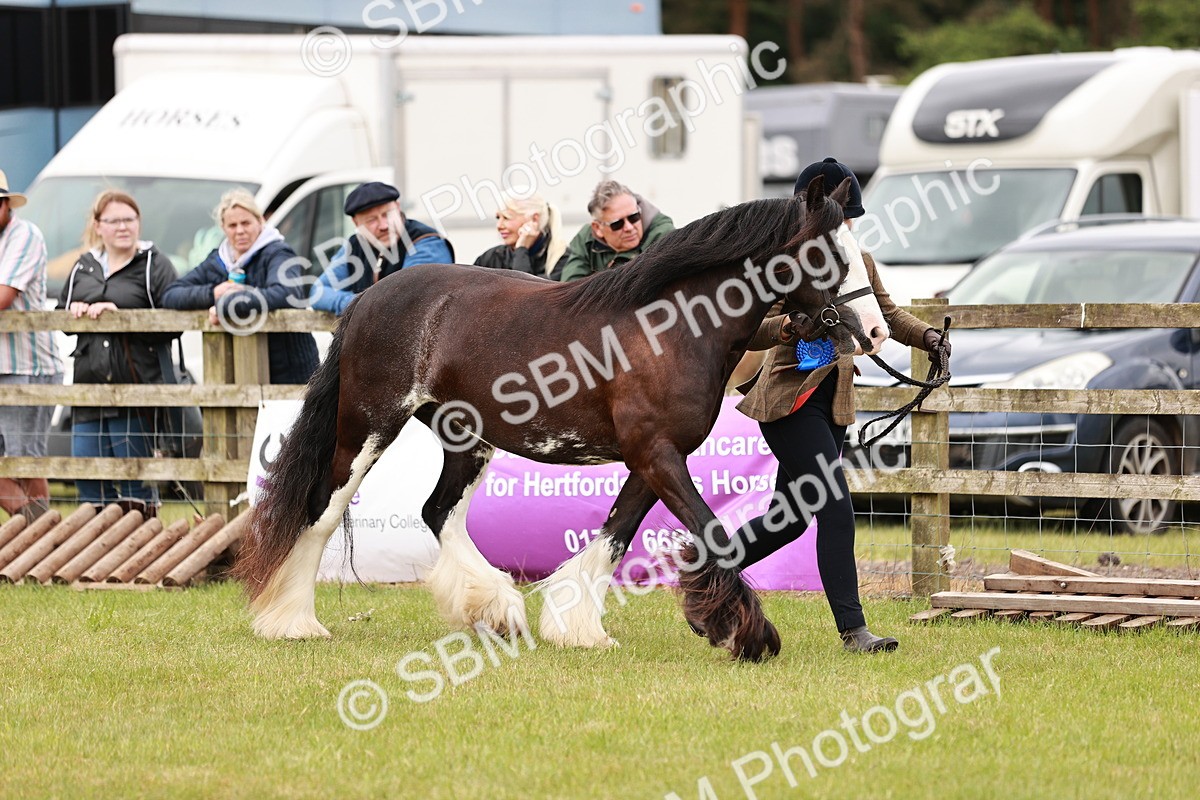 SBM_04731 - Class 5-8 - BSPA In hand