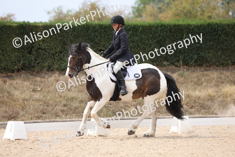 20250819-1350 - Class 4 - Novice 2