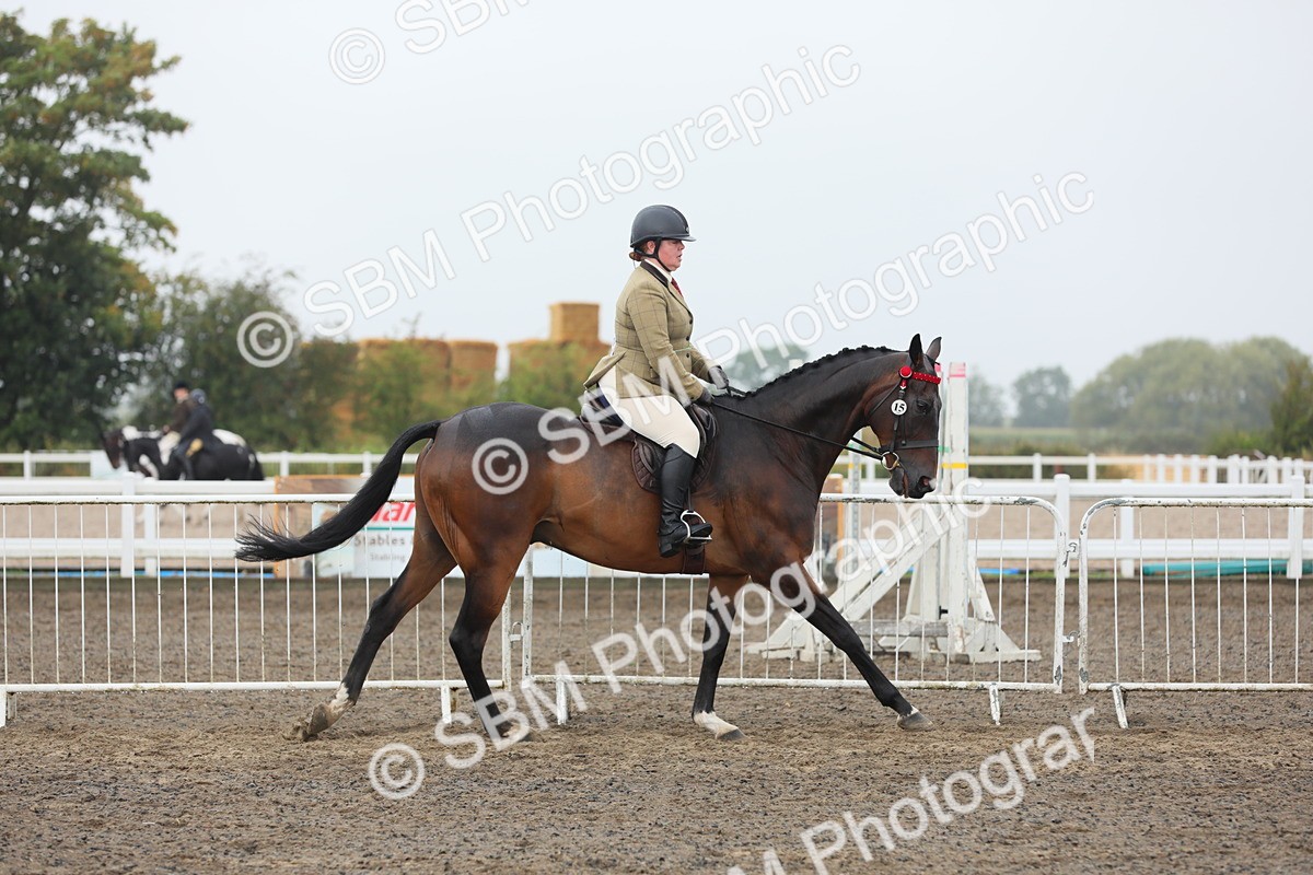 SBM_21253 - Class 805 - Ridden Veteran Horse