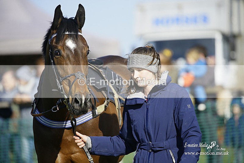 PtP 190322 645 - Wilton Hunt PtP Milborne St Andrew 19/03/22