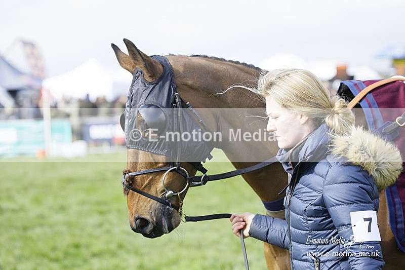 PtP 060322 205 - Blackmore & Sparkford Vale Hunt PtP 06/03/22