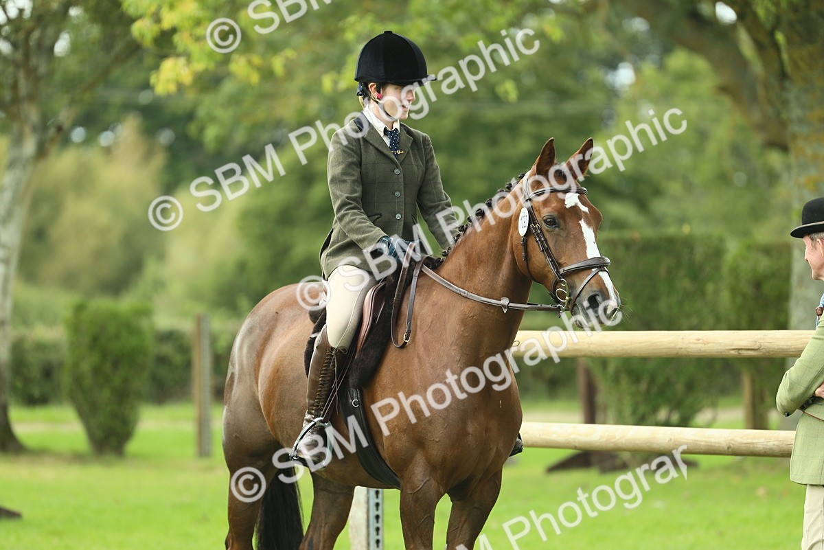 SBM_47949 - S32 - Novice & Newcomers Working Hunter