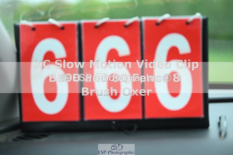 250419-161749-13245 - 666-Charlotte.Cutts-BEECHMOUNT.BLAZE