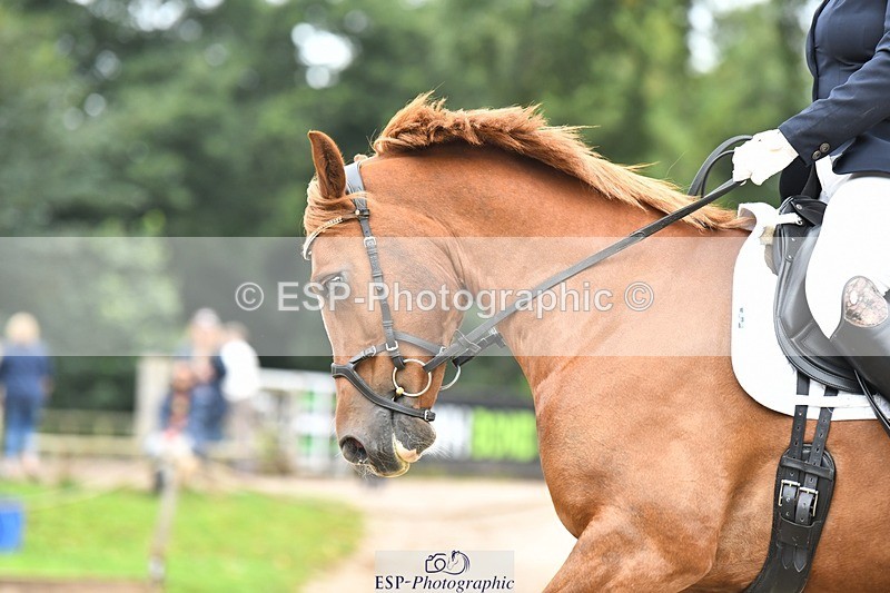 230812-092110-02773 - Cls 6 Novice Silver Start to 10.20 break