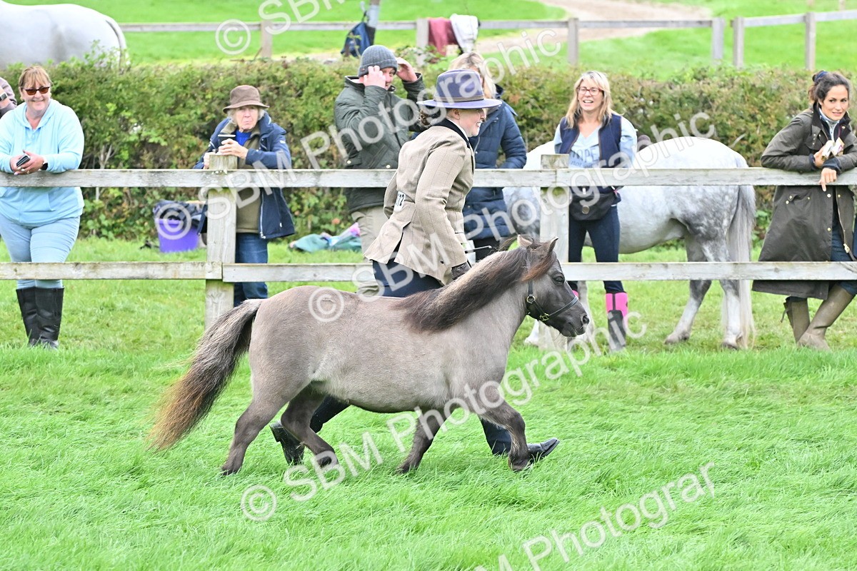 SBM_60943 - S48 - Mountain & Moorland In Hand Small Breeds