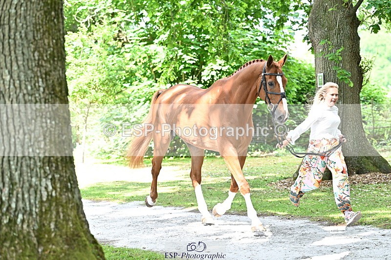 250521A-151638-00391 - B-306-Kat.Raybould-DALOUBET.MANSOLEIN.Z
