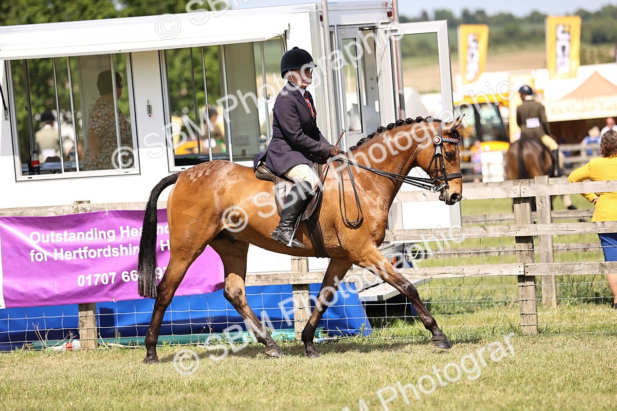 SBM_17987 - Class 81-83 - TSR Ridden Amateur of the Year - Horses