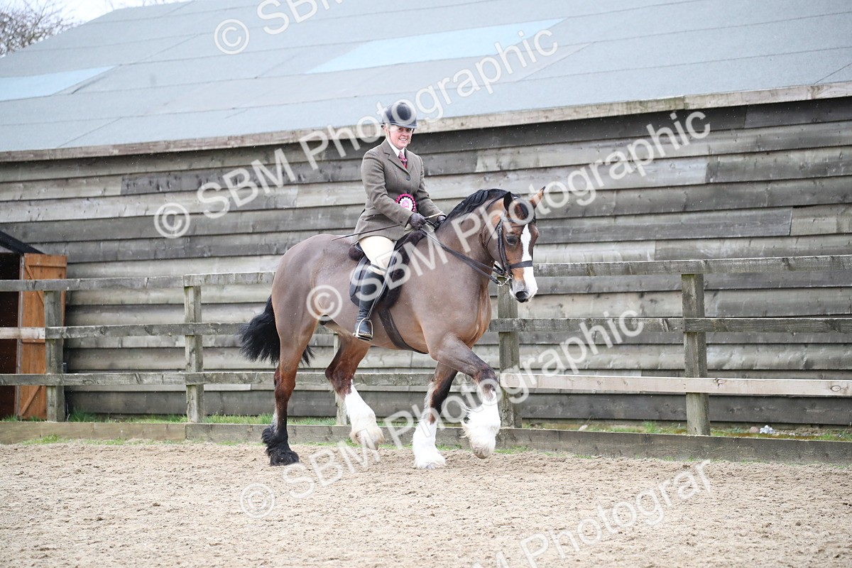 SBM_007325 - Class 10-13 - RIHS Small Large Breeds