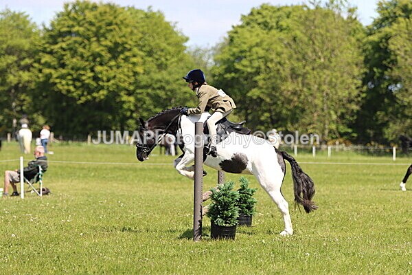 IMG_3811 - Working Hunter