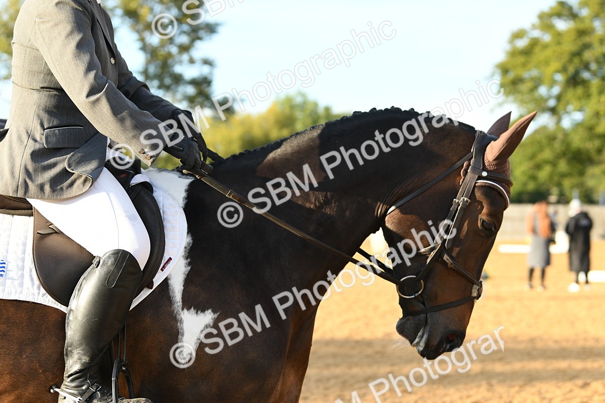 SBM_13431 - D19 Small Tour Championship Elementary 42