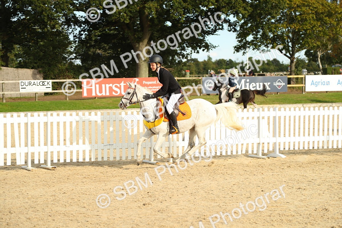SBM_51765 - J7 - Junior Pony 60cm Championship