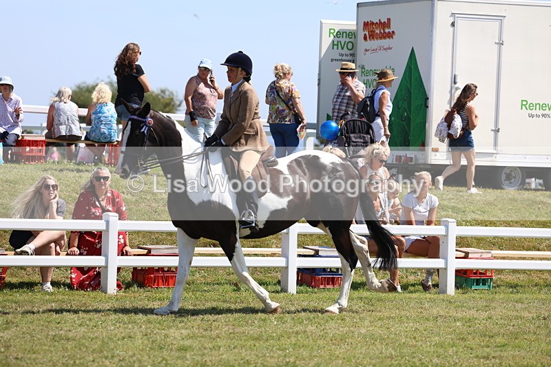 3E7A7776 - Class 7: Open Riding Horse