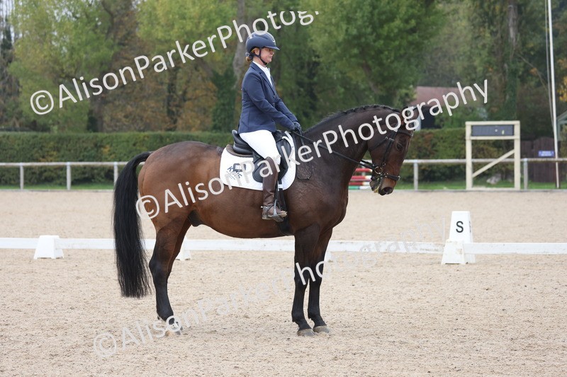 20251012-0635 - Class 5 - Elementary 5