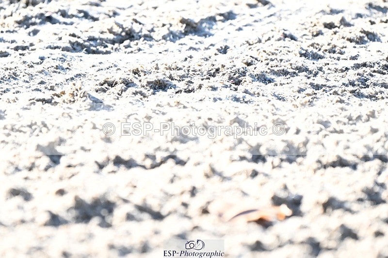 231110-104213-00175 - Cls 2 Prelim 17(a)Q