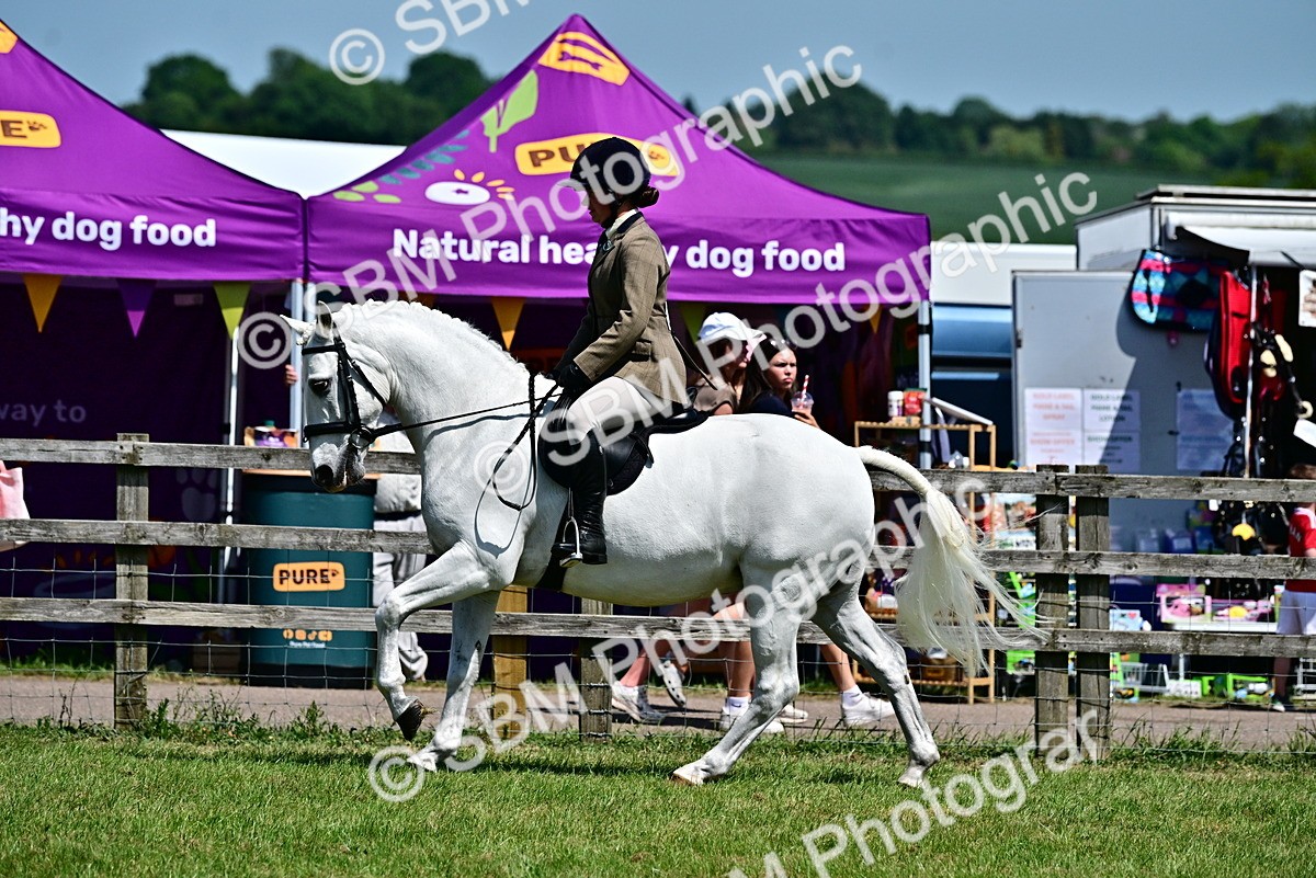 SBM_17474 - Class 95-97 - BSPS LHS Performance Ponies