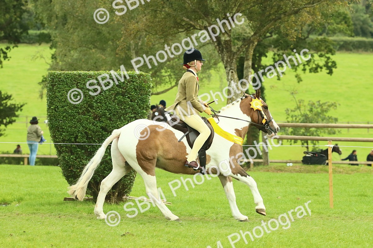 SBM_75020 - Ridden Pony Supreme Championship