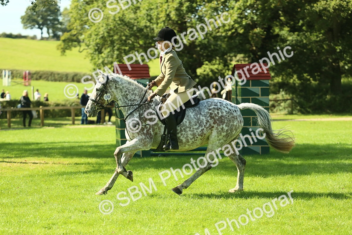 SBM_39256 - S29 - Novice & Newcomers Working Hunter Pony