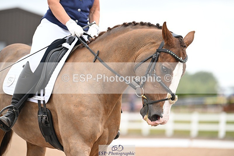 250705-175532-03052 - N3 Section BDNOV3 15.55 to 17.19