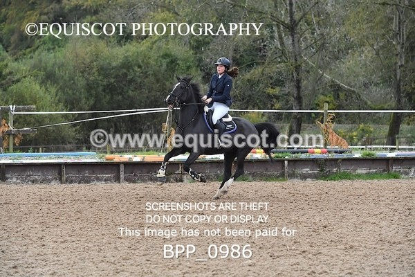 BPP_0986 - CLASS 10 SUN Senior BritiNovice/ 90cm Open