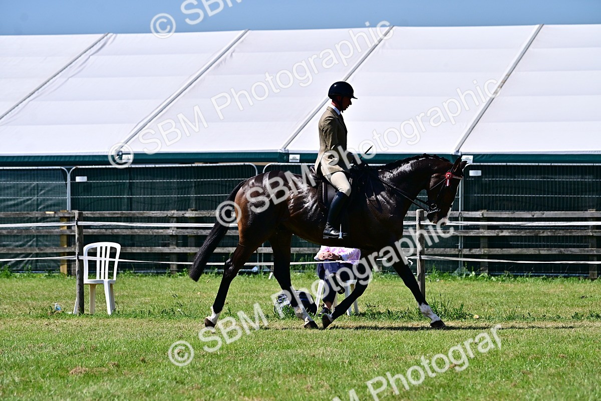 SBM_18156 - Class 99-100 - Retraining of Racehorses Ridden
