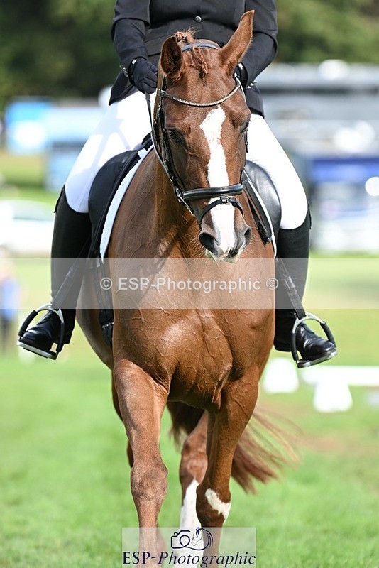 231020-120811-08002 - 484-JESATRAN.FIRECRACKER-Sally.Morton-DR