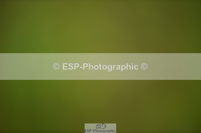 240523B-113726-02019 - 5 Year Old