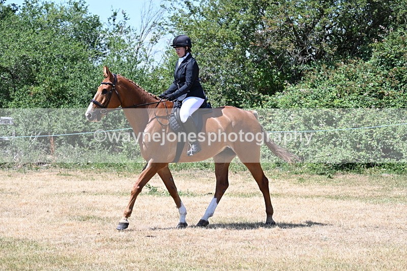 WJ7_2738 - Class 7 Riding Club Show Horse