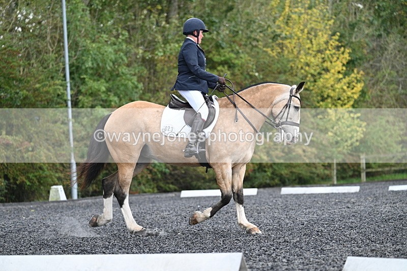 WJ7_4456 - Time 11:43 to 12:09