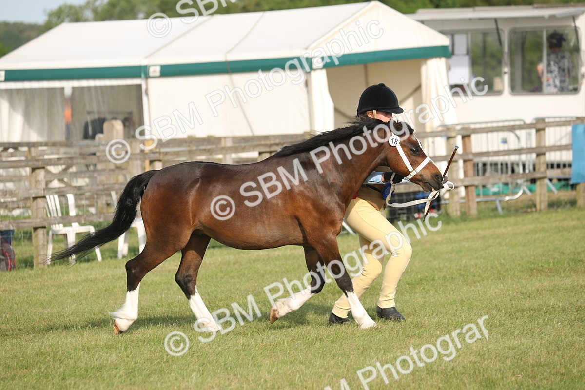 SBM_10588 - Class 33-38 - SSADL RIHS Qualifiers