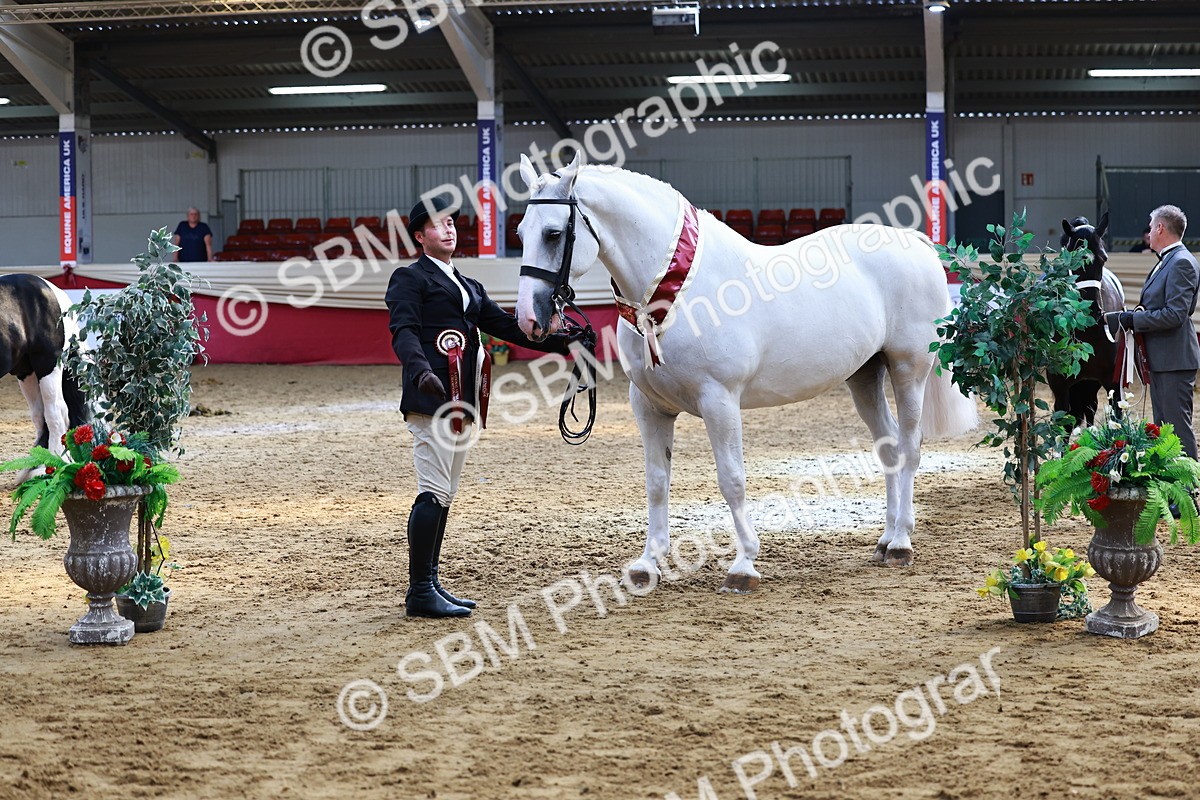 SBM_23297 - Class 903 - Supreme Final - IH Pre Vet