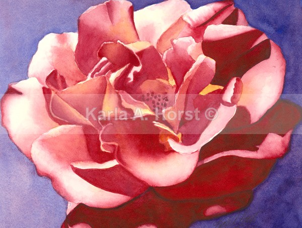 A Rose - Greeting Cards and Journals