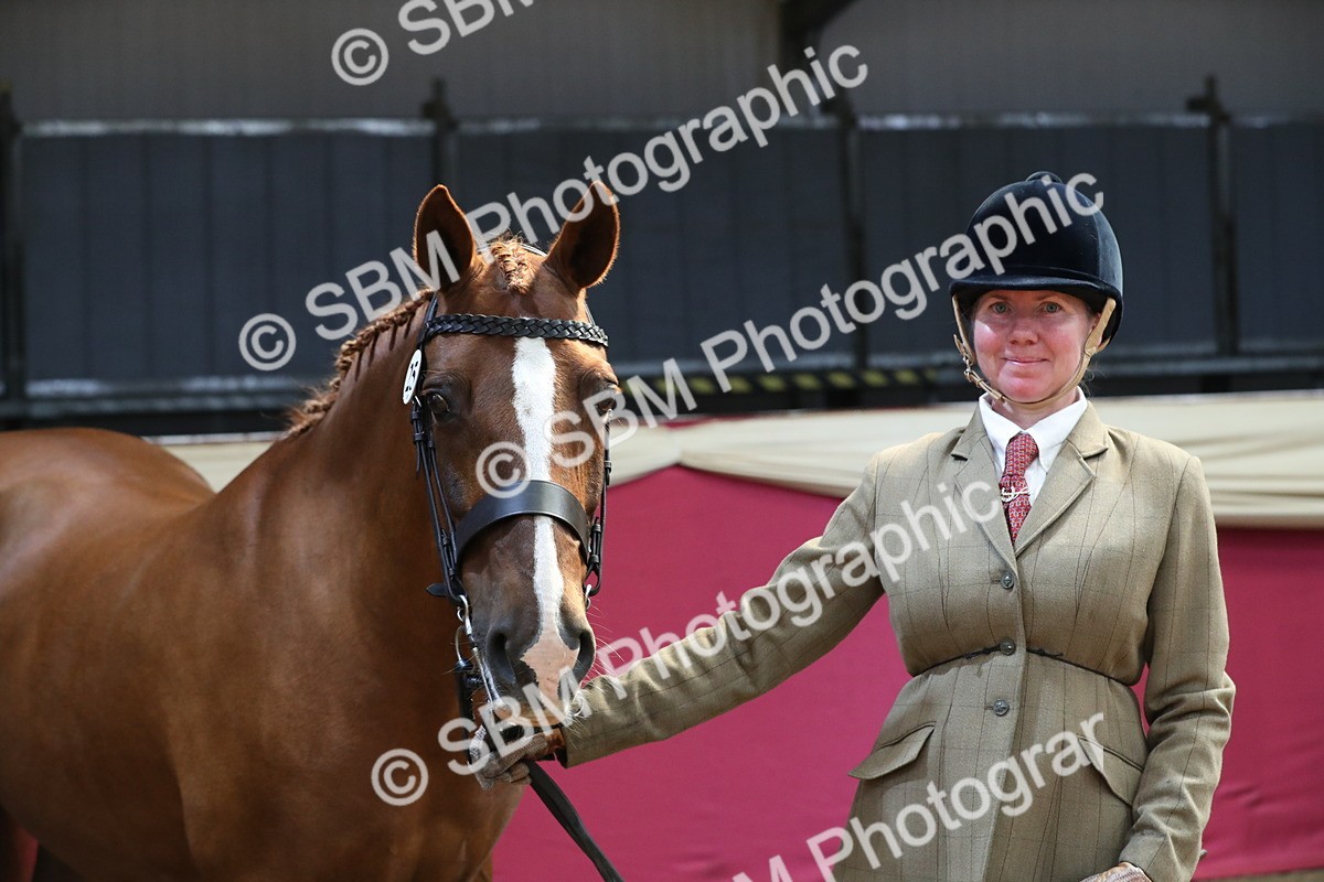 SBM_04440 - Class 7R Regional - IH Diamond
