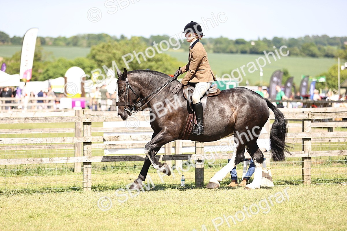 SBM_18112 - Class 81-83 - TSR Ridden Amateur of the Year - Horses