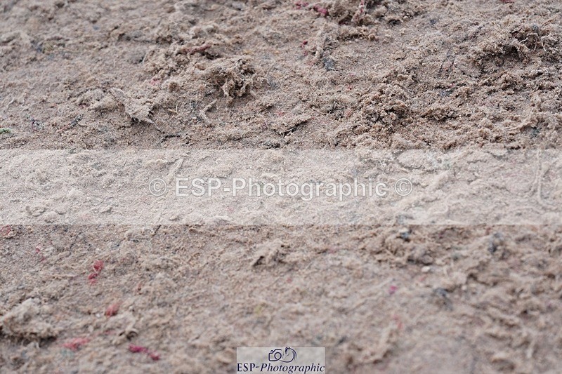 250425-114928-08661 - Cls 55 Veterans Major Tour