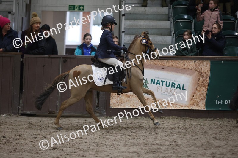 20260125-3417 - Class 3 - 60cm