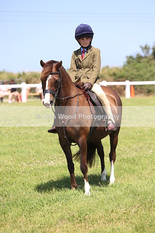 JPP_2282 - Class 20: Tiny Tots Working Hunter Pony