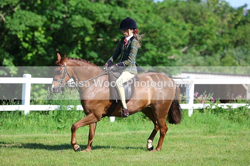 3E7A5916 - Class 27: Novice Working Hunter Pony